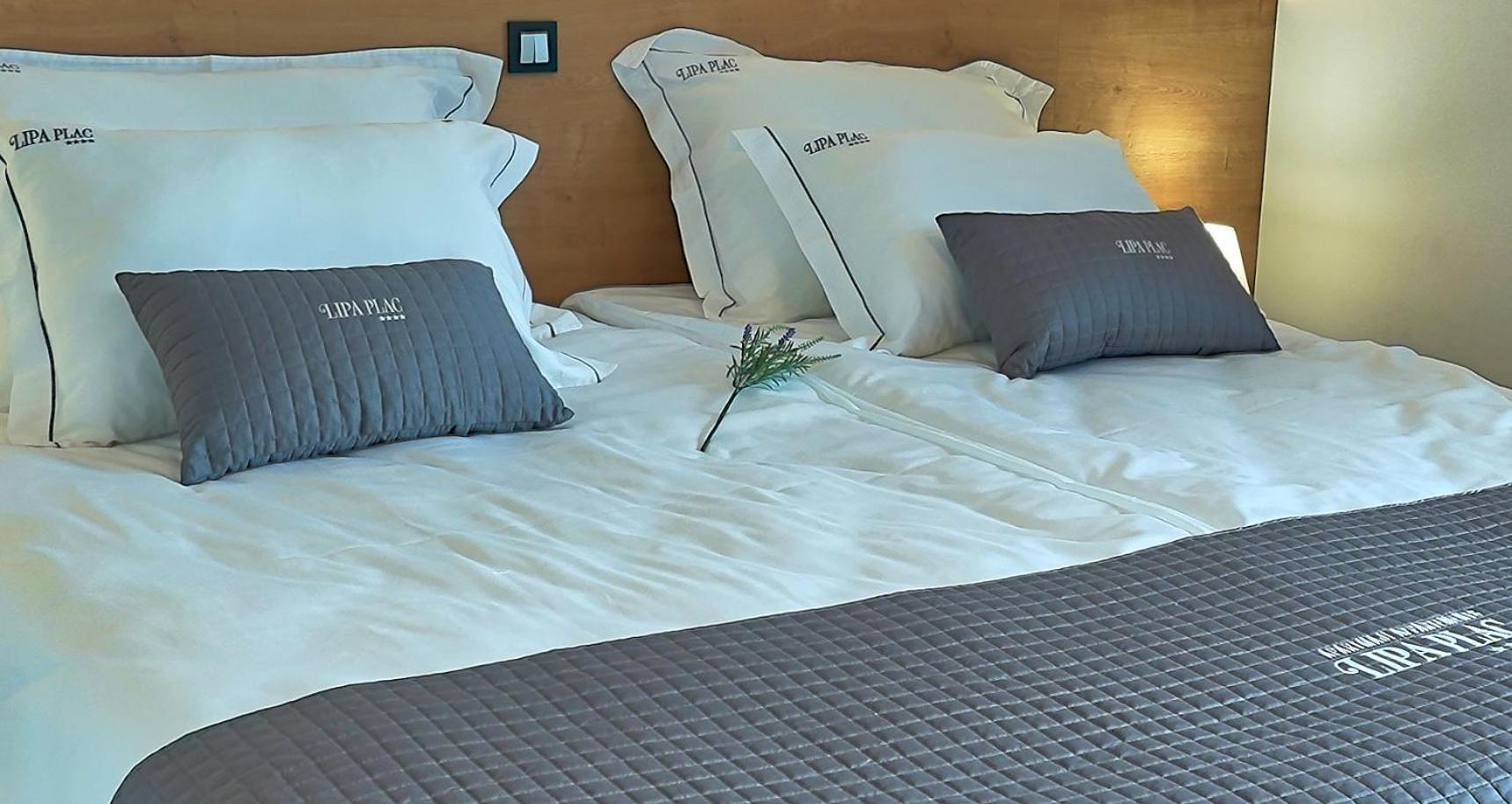 פוסטוינה Apartments Lipa Plac מראה חיצוני תמונה